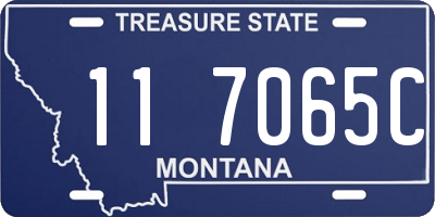 MT license plate 117065C
