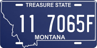 MT license plate 117065F