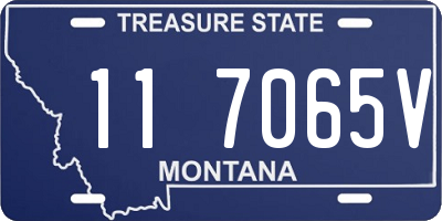 MT license plate 117065V