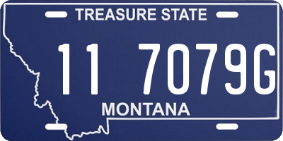 MT license plate 117079G