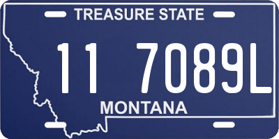 MT license plate 117089L