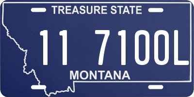 MT license plate 117100L