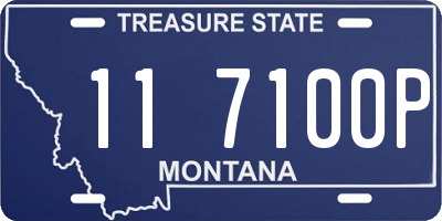 MT license plate 117100P