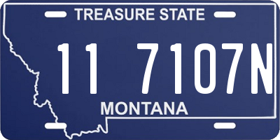 MT license plate 117107N