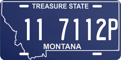 MT license plate 117112P