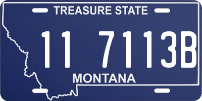 MT license plate 117113B