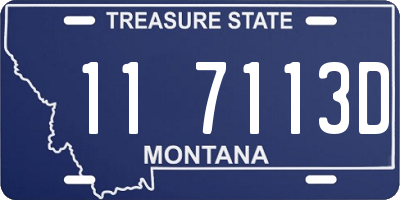 MT license plate 117113D