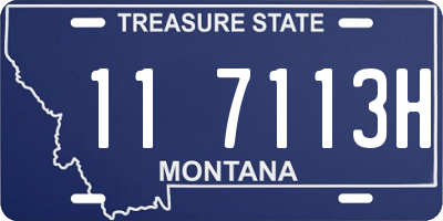 MT license plate 117113H