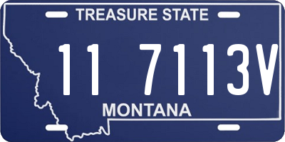 MT license plate 117113V