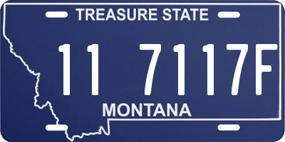 MT license plate 117117F