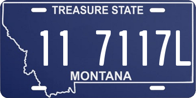 MT license plate 117117L