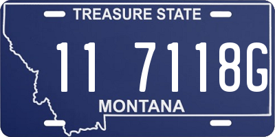 MT license plate 117118G