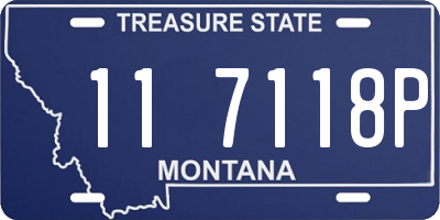 MT license plate 117118P