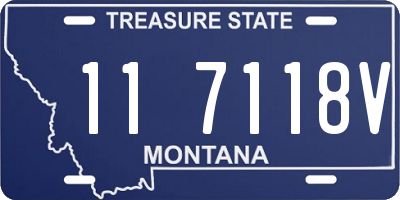 MT license plate 117118V