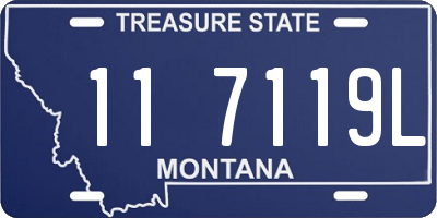 MT license plate 117119L