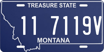 MT license plate 117119V