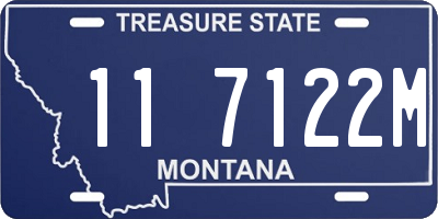 MT license plate 117122M