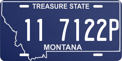 MT license plate 117122P