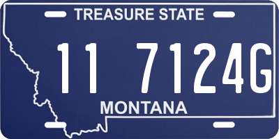 MT license plate 117124G