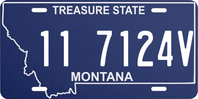 MT license plate 117124V