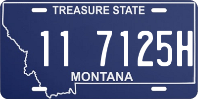 MT license plate 117125H