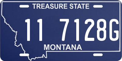 MT license plate 117128G