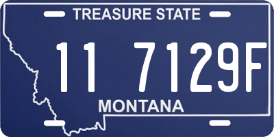 MT license plate 117129F