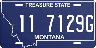 MT license plate 117129G