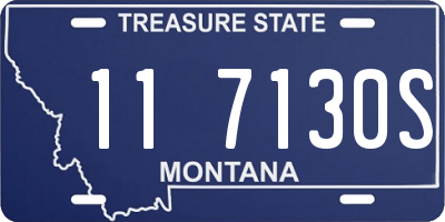MT license plate 117130S
