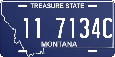 MT license plate 117134C