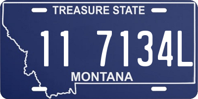 MT license plate 117134L