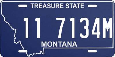 MT license plate 117134M