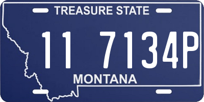 MT license plate 117134P