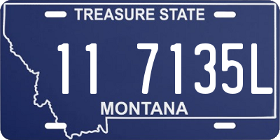 MT license plate 117135L