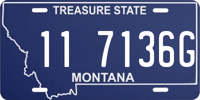 MT license plate 117136G