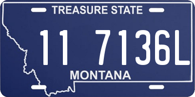 MT license plate 117136L