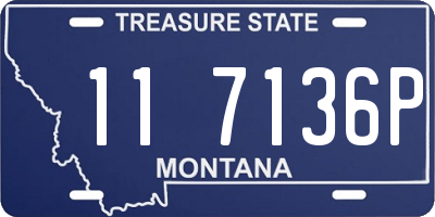 MT license plate 117136P