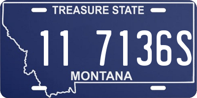 MT license plate 117136S