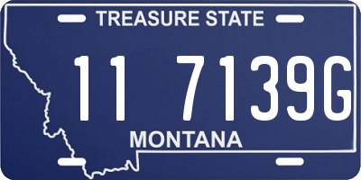 MT license plate 117139G