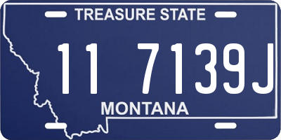 MT license plate 117139J