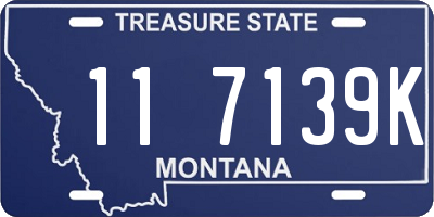 MT license plate 117139K