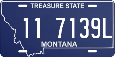 MT license plate 117139L