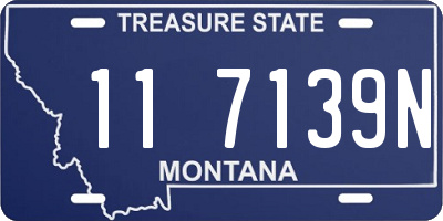 MT license plate 117139N