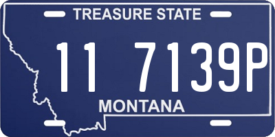 MT license plate 117139P