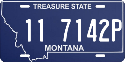 MT license plate 117142P