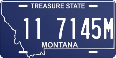 MT license plate 117145M