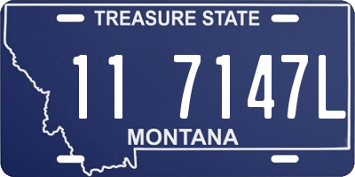 MT license plate 117147L