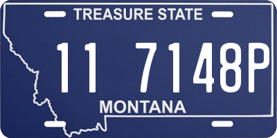 MT license plate 117148P