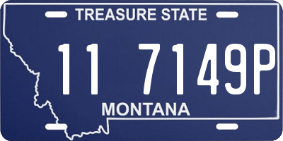 MT license plate 117149P