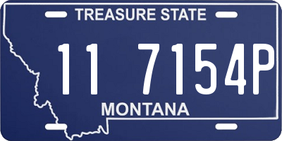 MT license plate 117154P